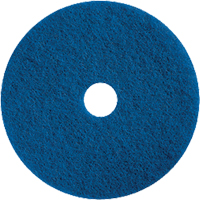 Floor Maintenance Pads, 15", Cleaning/Scrubbing, Blue Rideout Tool & Machine Inc.
