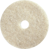 Floor Maintenance Pads, 21", Burnishing, Brown Rideout Tool & Machine Inc.