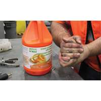 Orange Hand Cleaner, Pumice, 3.6 L, Jug, Orange JG223 | Rideout Tool & Machine Inc.