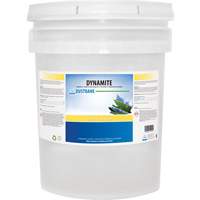 Dynamite Odourless Stripper & Degreaser, 20 L, Pail JH326 | Rideout Tool & Machine Inc.