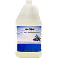 Traitement de contr&ocirc;le de poussi&egrave;re Hygo H2O, 4 L, Cruche Rideout Tool & Machine Inc.