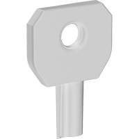 Lock or Not™ Dispenser Key JK699 | Rideout Tool & Machine Inc.