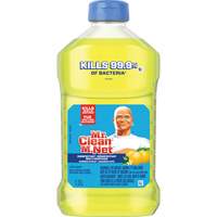 Antibacterial All-Purpose Cleaner, Bottle JL064 | Rideout Tool & Machine Inc.