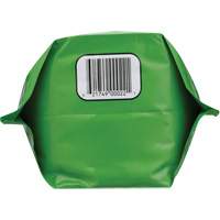 Biodegradable Hand Cleaner, Powder, 4.5 lbs., Packet, Unscented Rideout Tool & Machine Inc.