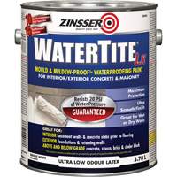 Watertite&reg; LX Mold & Mildew-Proof Waterproofing Paint, 3.78 L, Gallon, White Rideout Tool & Machine Inc.