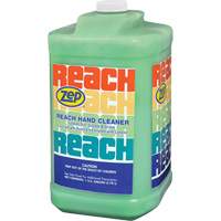 Reach Extra Heavy-Duty Hand Cleaner, Pumice, 3.78 L, Jug, Scented JL659 | Rideout Tool & Machine Inc.