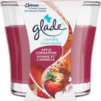Glade&reg; Jar Candle, Apple Cinnamon Rideout Tool & Machine Inc.