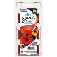 Cubes de cire parfum&eacute;e Glade, Brise exotique Rideout Tool & Machine Inc.