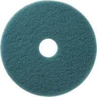 Tampons &agrave; polir pour planchers Aqua, 19", Brunissage, Aqua Rideout Tool & Machine Inc.