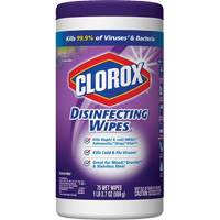 Disinfecting Wipes, 75 Count Rideout Tool & Machine Inc.