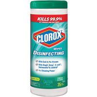 Disinfecting Wipes, 35 Count Rideout Tool & Machine Inc.