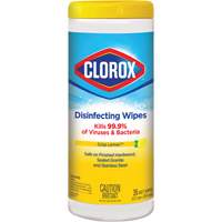Disinfecting Wipes, 35 Count Rideout Tool & Machine Inc.
