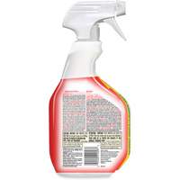 Disinfecting Bio Stain & Odour Remover, 946 ml, Trigger Bottle Rideout Tool & Machine Inc.