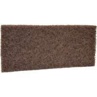 Coarse Scrub Pad, 10" L x 4-1/2" W Rideout Tool & Machine Inc.