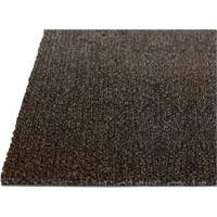 Tapis dint&eacute;rieur Palliser, Essuie-pieds/grattoir, 3-1/2' x 6' x 5/16", Anglis Rideout Tool & Machine Inc.