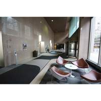 Tapis dentr&eacute;e Supreme Knob, Essuie-pieds/grattoir, 3-1/2' x 6' x 7/16", Charbon Rideout Tool & Machine Inc.