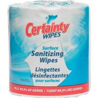 Surface Sanitizing Wipes, Packet Rideout Tool & Machine Inc.