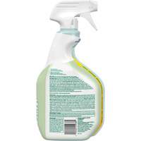 CloroxPro Clorox EcoClean Disinfecting Cleaner, 946 ml, Trigger Bottle Rideout Tool & Machine Inc.