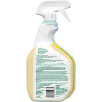 CloroxPro Clorox EcoClean All-Purpose Cleaner, 946 ml, Trigger Bottle Rideout Tool & Machine Inc.
