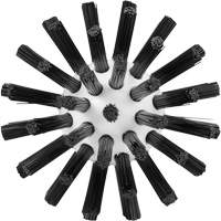 Brosse de nettoyage, Soies Ferme, Longueur de 5-7/10", Noir Rideout Tool & Machine Inc.