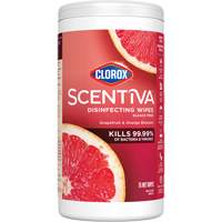 Disinfecting Wipes, 75 Count Rideout Tool & Machine Inc.