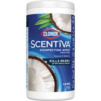 Disinfecting Wipes, 75 Count Rideout Tool & Machine Inc.