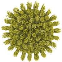 Brosse ronde HyDrive pour perceuse, Soies Tr&egrave;s ferme, Longueur de 3-1/10", Jaune Rideout Tool & Machine Inc.