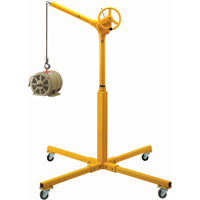 Tall Industrial Lifting Device with Mobile Base, 500 lbs. (0.25 tons) Capacity LS953 | Rideout Tool & Machine Inc.