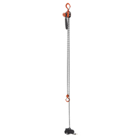Mini Lever Hoist, 15' Lift, 500 lbs. (0.25 tons) Capacity, Steel Chain Rideout Tool & Machine Inc.