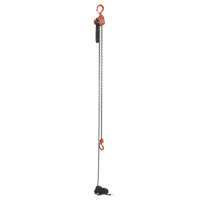 Mini Lever Hoist, 15' Lift, 500 lbs. (0.25 tons) Capacity, Steel Chain Rideout Tool & Machine Inc.