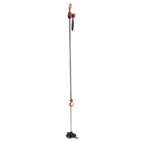 Mini Lever Hoist, 15' Lift, 500 lbs. (0.25 tons) Capacity, Steel Chain Rideout Tool & Machine Inc.