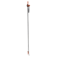Mini Lever Hoist, 10' Lift, 1000 lbs. (0.5 tons) Capacity, Steel Chain Rideout Tool & Machine Inc.