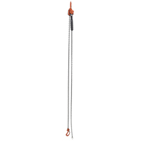 Mini Lever Hoist, 10' Lift, 1000 lbs. (0.5 tons) Capacity, Steel Chain Rideout Tool & Machine Inc.