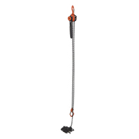 Mini Lever Hoist, 15' Lift, 1000 lbs. (0.5 tons) Capacity, Steel Chain Rideout Tool & Machine Inc.