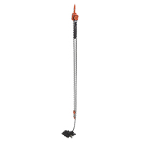 Mini Lever Hoist, 20' Lift, 1000 lbs. (0.5 tons) Capacity, Steel Chain Rideout Tool & Machine Inc.