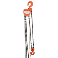 Chain Hoist, 20' Lift, 4000 lbs. (2 tons) Capacity, Alloy Steel Chain LU583 | Rideout Tool & Machine Inc.