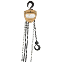 Heavy-Duty Gold Series Chain Hoist, 20' Lift, 2000 lbs. (1 tons) Capacity, Alloy Steel Chain Rideout Tool & Machine Inc.