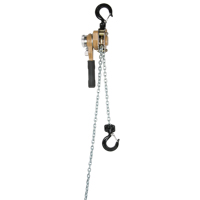 Heavy Duty Gold Series Lever Chain Hoist, 10' Lift, 500 lbs. (0.25 tons) Capacity, Alloy Steel Chain Rideout Tool & Machine Inc.