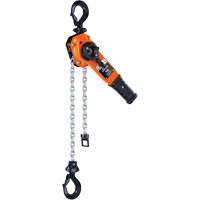 Series 653-A Ratchet Lever Hoist, 5' Lift, 1500 lbs. (0.75 tons) Capacity, Steel Chain Rideout Tool & Machine Inc.