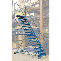 CSA-Certified Rolling Step Ladder with Locking Step, 14 Steps, 30" Step Width, 128" Platform Height, Steel Rideout Tool & Machine Inc.