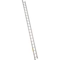 Industrial Heavy-Duty Straight Ladders, 20', Aluminum, 300 lbs., CSA Grade 1A MD512 | Rideout Tool & Machine Inc.