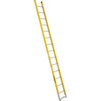 Single Section Straight Ladder - 6100 Series, 14', Fibreglass, 375 lbs., CSA Grade 1AA MF383 | Rideout Tool & Machine Inc.
