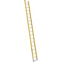 Single Section Straight Ladder - 6100 Series, 16', Fibreglass, 375 lbs., CSA Grade 1AA Rideout Tool & Machine Inc.
