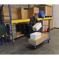 Platform Cart, 48" L x 24" W, 1500 lbs. Capacity, Mold-on Rubber Casters MF987 | Rideout Tool & Machine Inc.