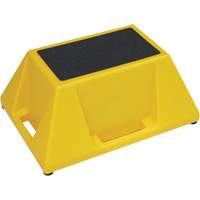 Step Stand/Stool