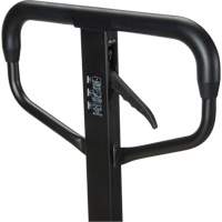 Quick-Lift Manual Pallet Truck, Steel, 48" L x 20.5" W, 5500 lbs. Capacity Rideout Tool & Machine Inc.