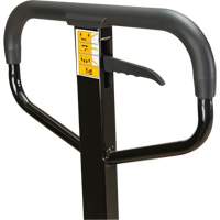 Manual Pallet Truck, Steel, 48" L x 27" W, 5500 lbs. Capacity Rideout Tool & Machine Inc.