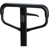 Steel Wheel Pallet Truck, Steel, 48" L x 27" W, 5500 lbs. Capacity Rideout Tool & Machine Inc.