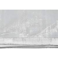 B&acirc;che isol&eacute;e, Poly&eacute;thyl&egrave;ne, Blanc, 20' x 12' x 8 mils Rideout Tool & Machine Inc.