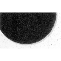 Tampons de d&eacute;capage Pro-Strip s&eacute;rie 7300, 17", D&eacute;capant, Noir Rideout Tool & Machine Inc.